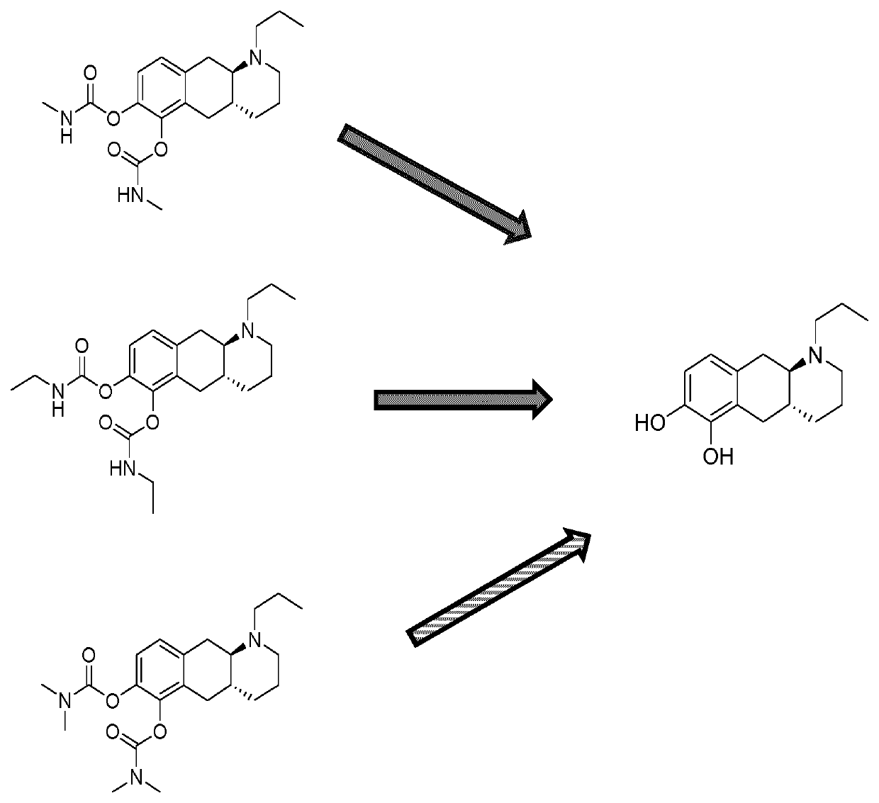 Catecholamine carbamate prodrugs for use in the treatment of parkinson's disease