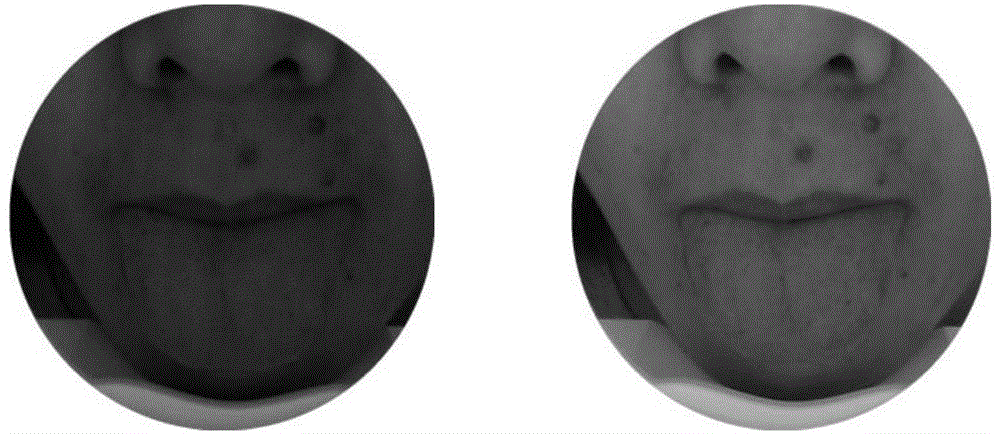 K-PLS regression model based traditional Chinese medicine tongue image color correction method