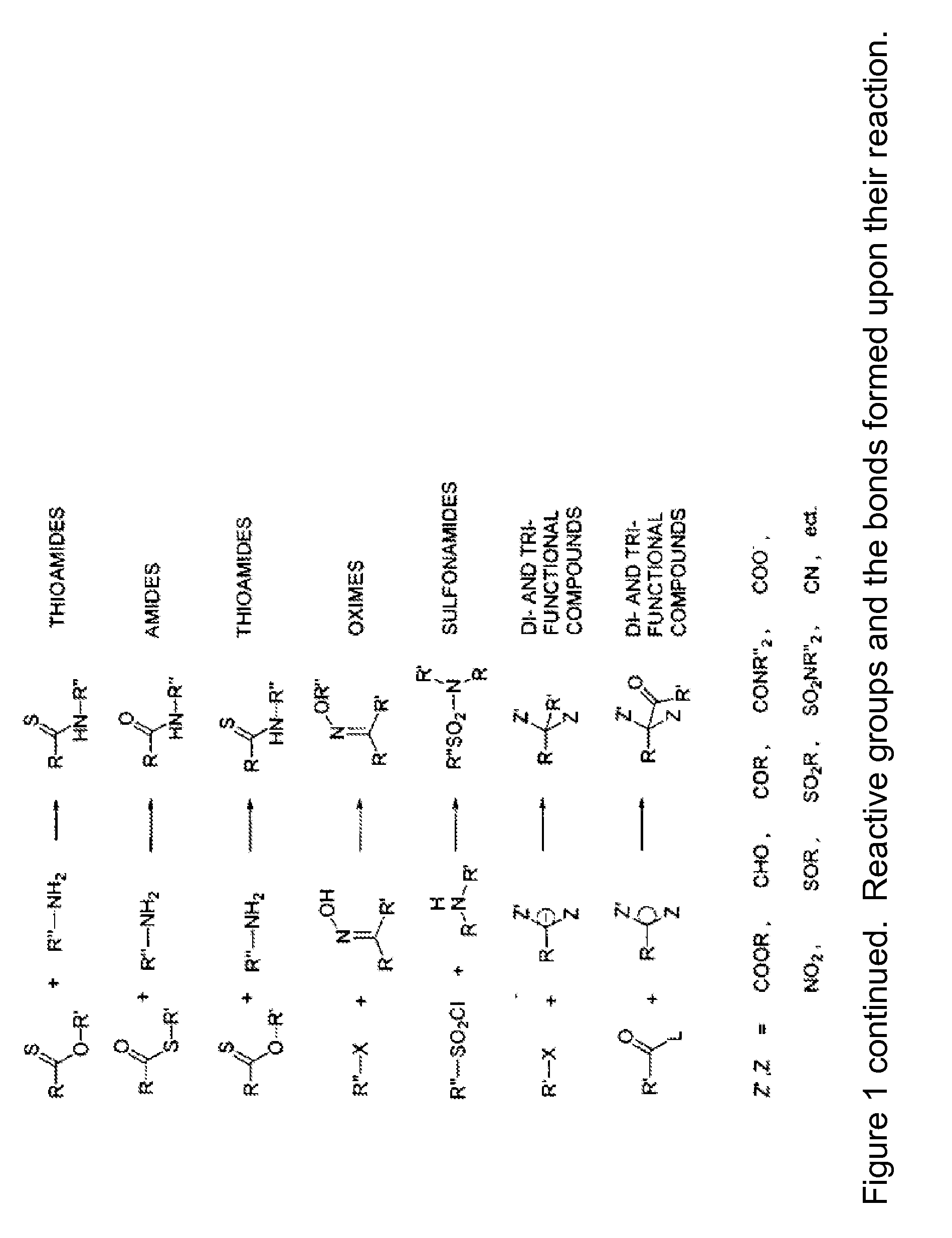 Mhc multimers, methods for their generation, labeling and use