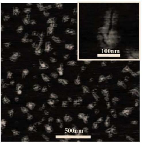 An amphiphilic ternary molecular brush polymer and its worm-like unimolecular micelles