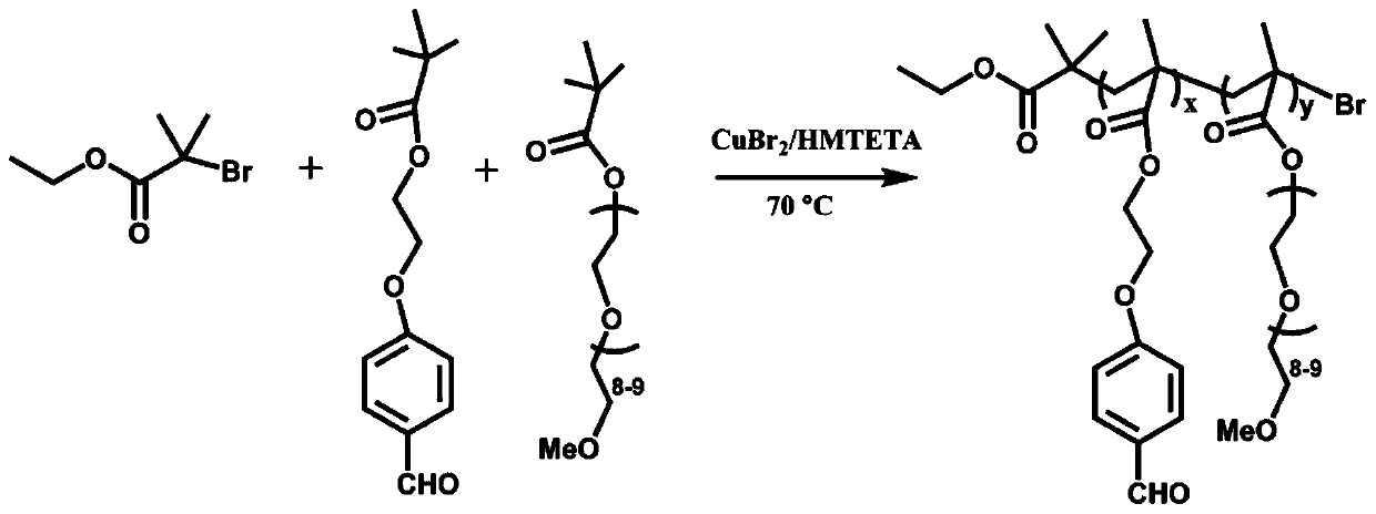 Mesoporous silica drug-loaded nanoparticles coated with a ph-responsive Schiff base copolymer and its preparation method and application