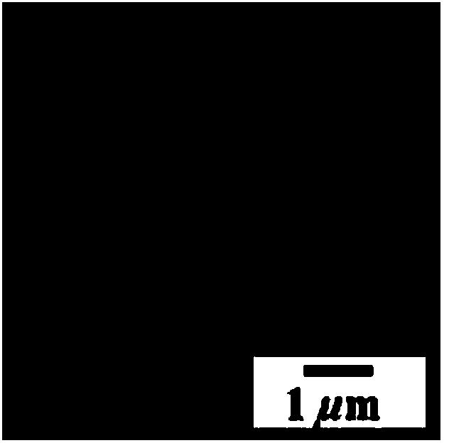 Preparation method of anisotropic particles with variable morphology