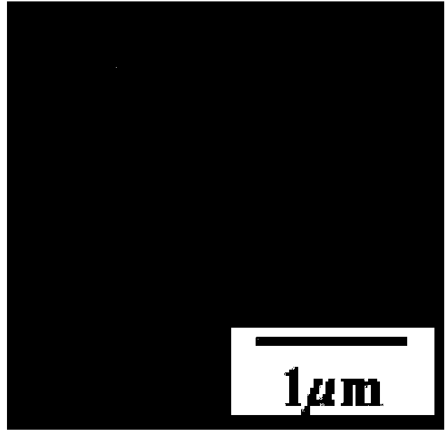 Preparation method of anisotropic particles with variable morphology