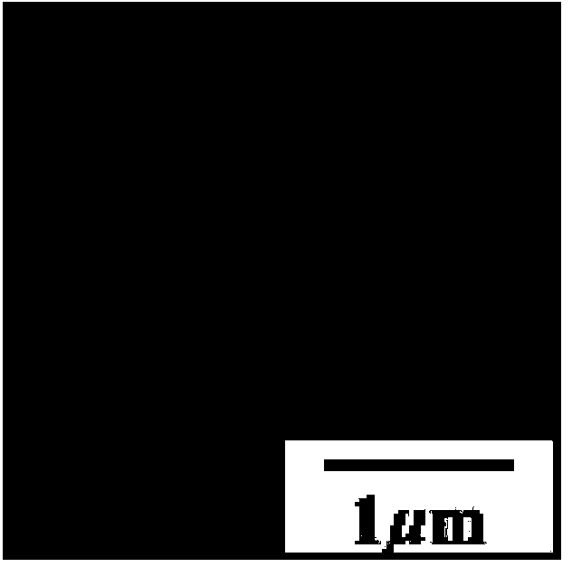 Preparation method of anisotropic particles with variable morphology