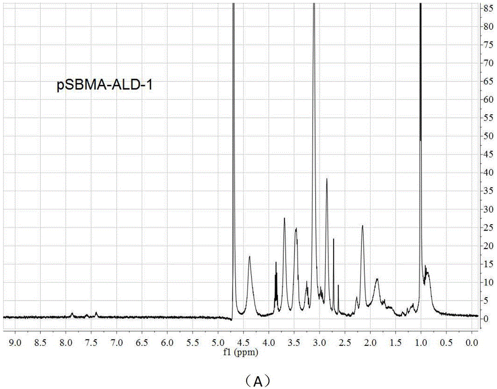 New zwitter-ionic polymer containing multiple phosphonic acid end groups, preparation method and application thereof