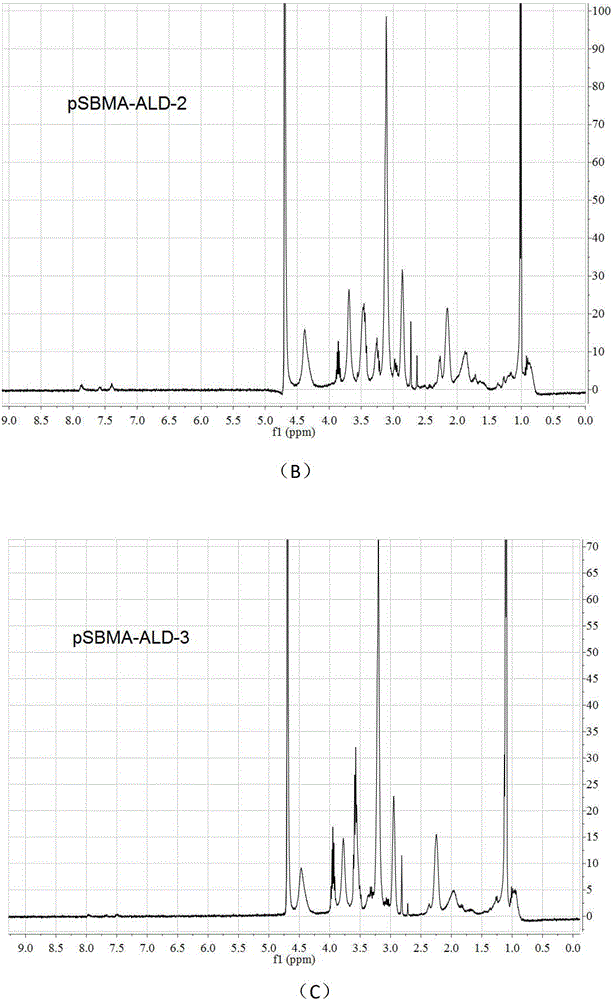 New zwitter-ionic polymer containing multiple phosphonic acid end groups, preparation method and application thereof