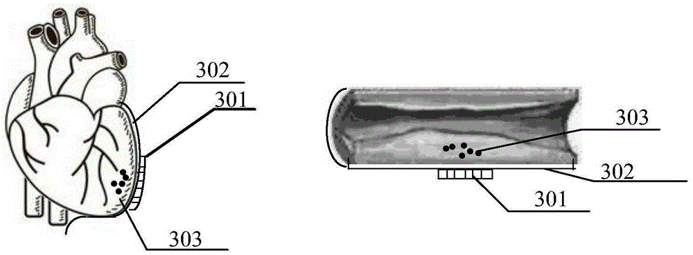 Vascular condition detection method and apparatus based on heart point fluctuation conduction property