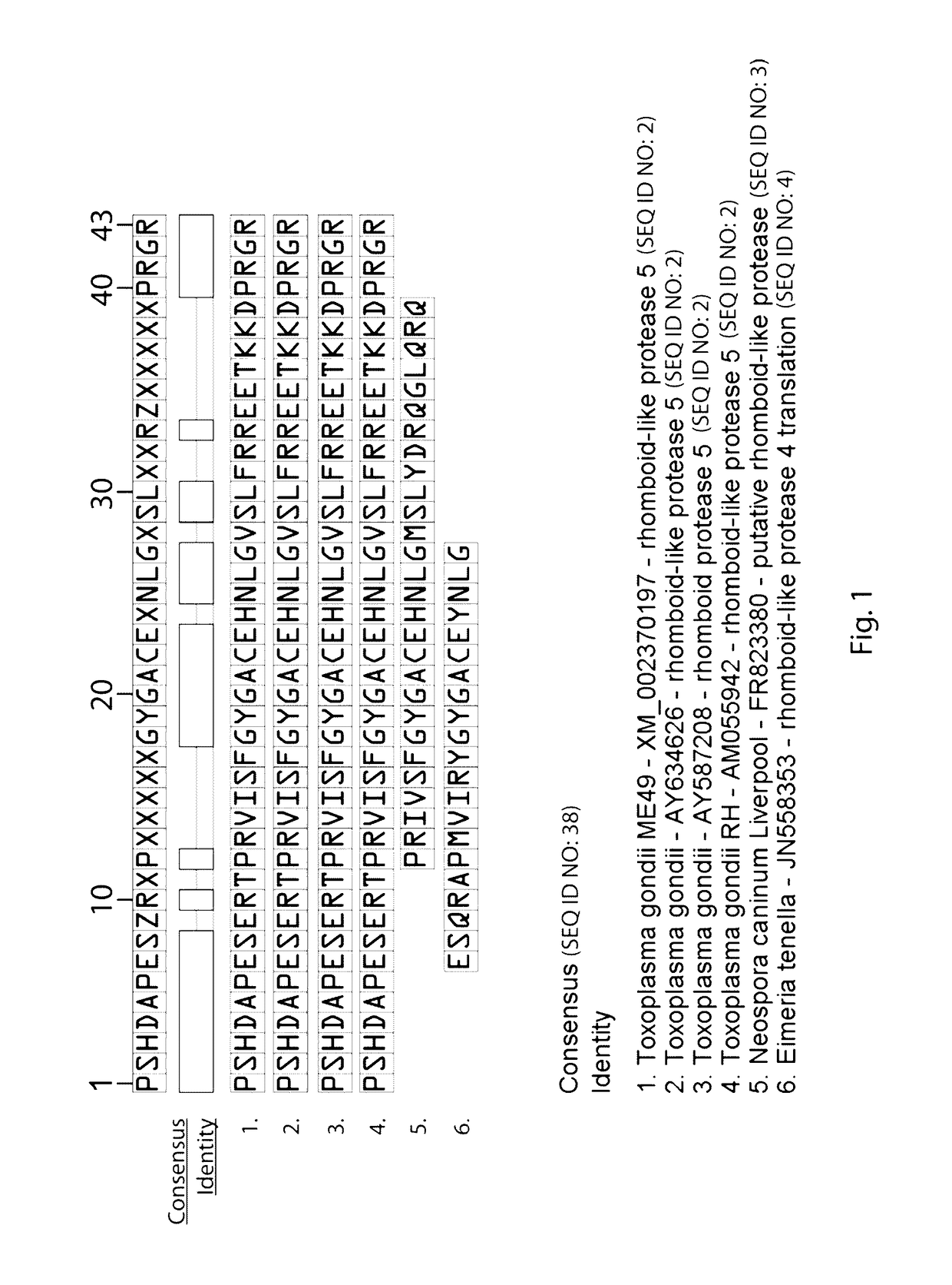 Compositions and methods of enhancing immune responses to <i>Eimeria </i>or limiting <i>Eimeria </i>infection