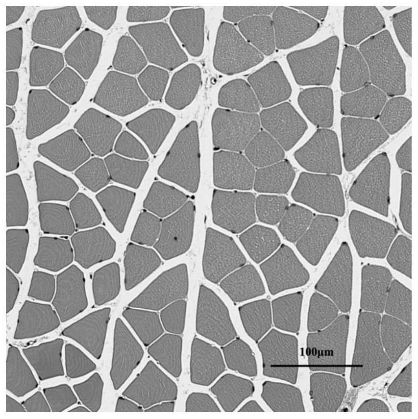 A composite gel system for promoting wound healing and its preparation method and application