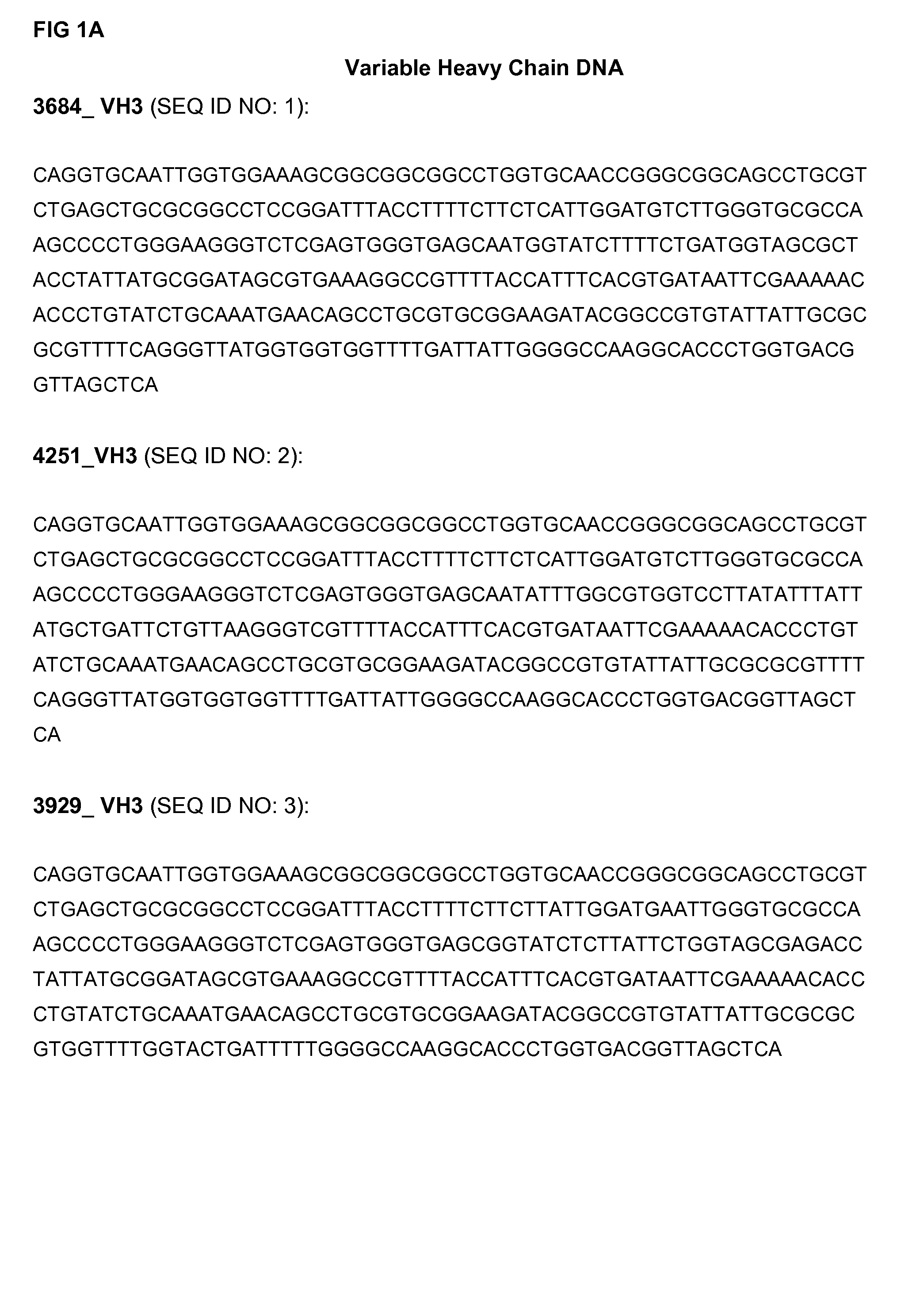 Anti-GM-CSF antibodies and uses therefor