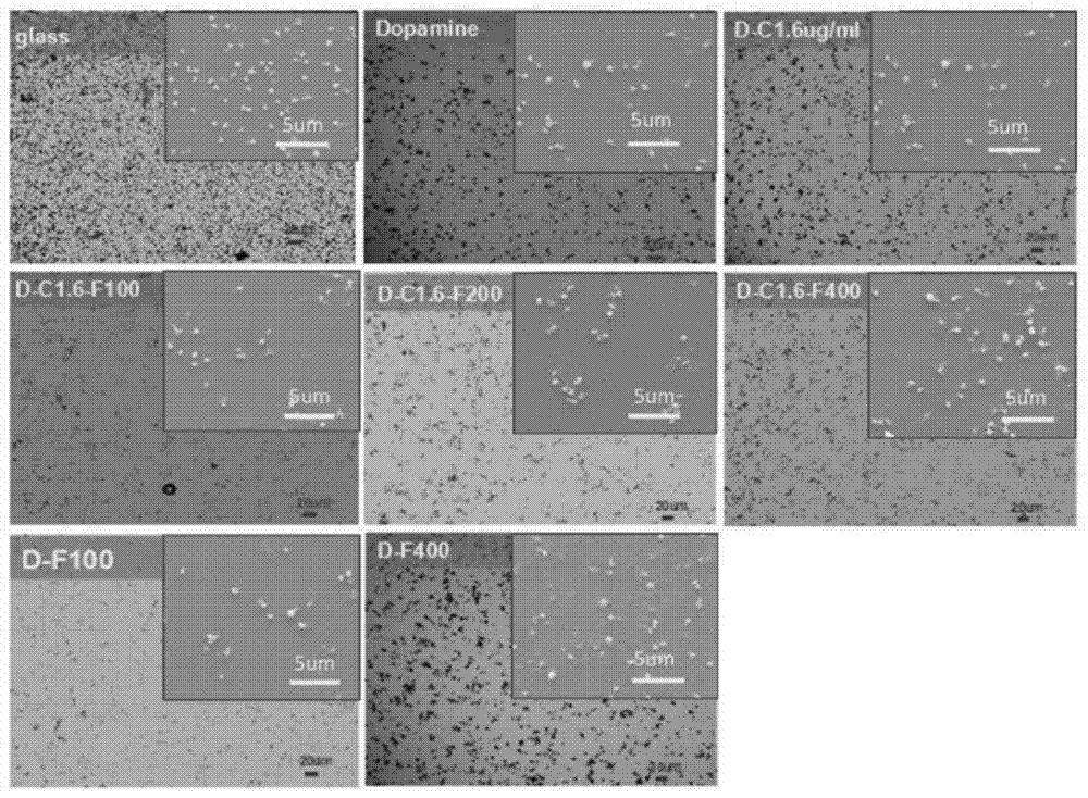 Preparation method of a novel anticoagulant stent coating for capturing endothelial progenitor cells EPCs