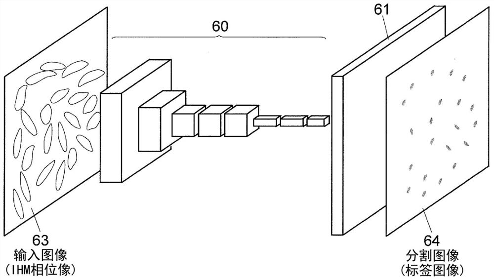 Cell image analysis method and cell image analysis device