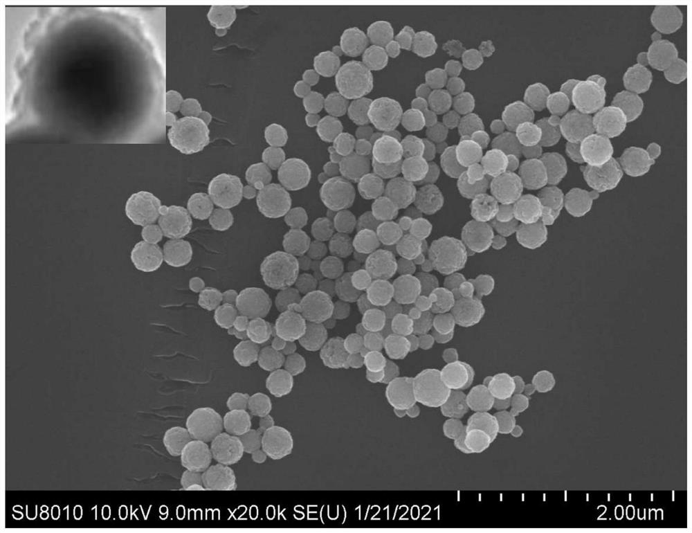 Preparation method and application of wide-spectrum specific antibody modified magnetic metal organic framework material