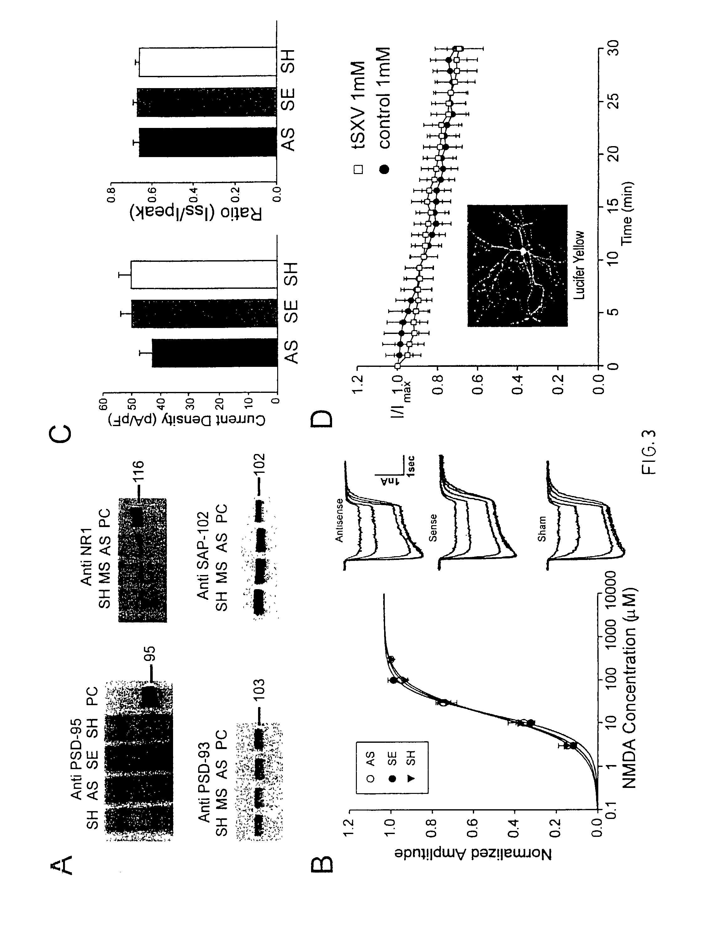 Method of reducing injury to mammalian cells