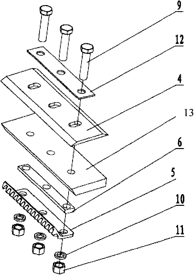 Shredding and rubbing device for silage harvester