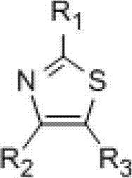 Homogeneous anion exchange membrane and preparation method thereof