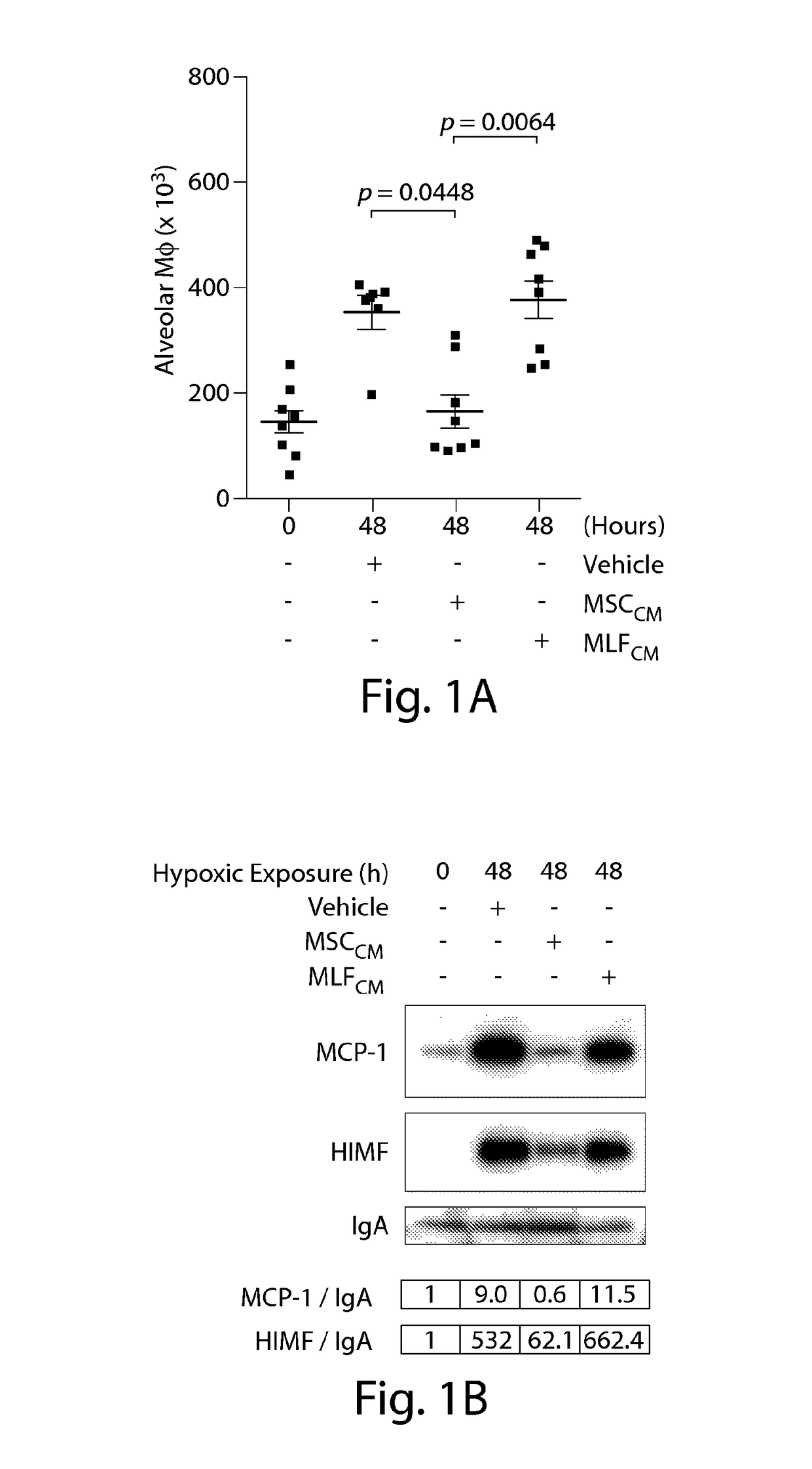 Methods and compositions relating to mesenchymal stem cell exosomes