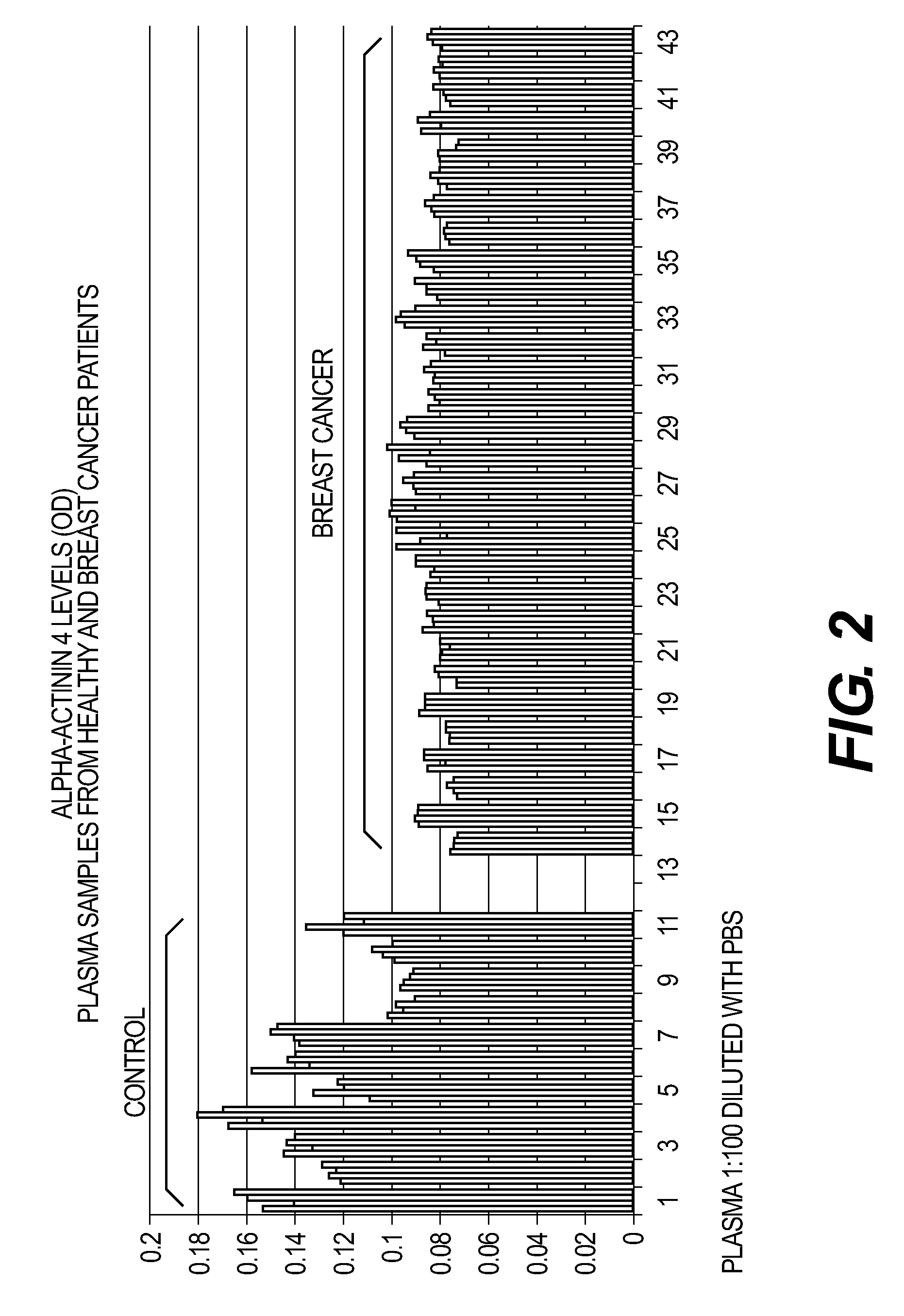 Monoclonal antibodies against alpha-actinin-4 antigens, and uses therefor