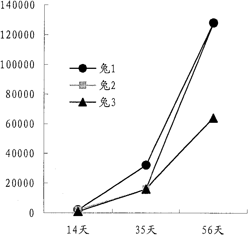 Immunogen by using mutant CRM197 of diphtheria toxin as carrier, preparation method, and application