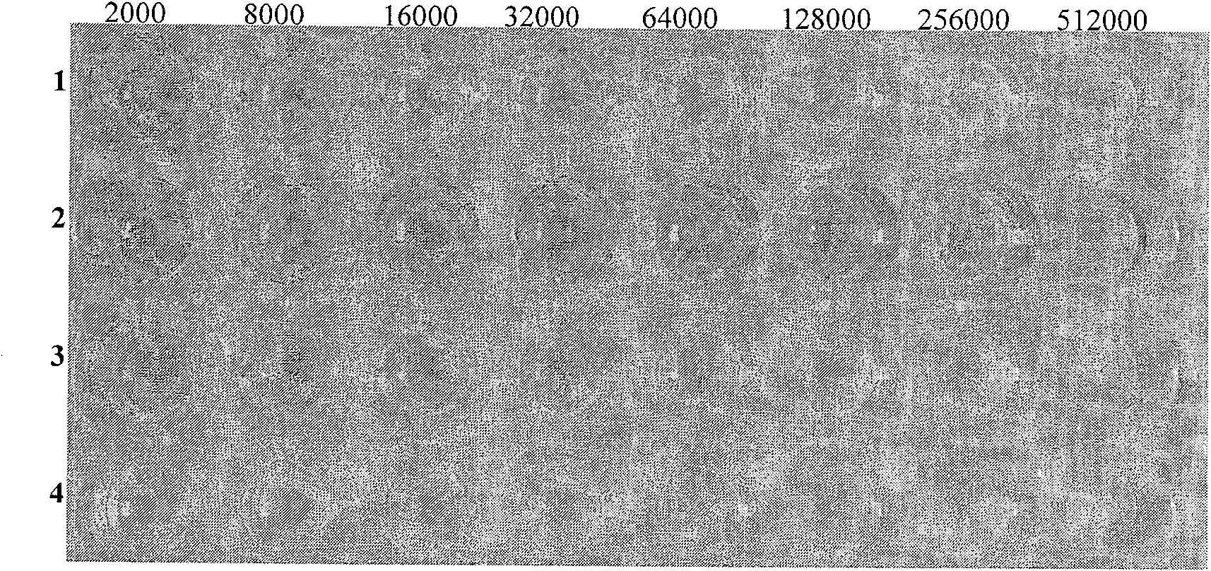 Immunogen by using mutant CRM197 of diphtheria toxin as carrier, preparation method, and application