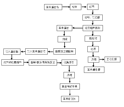 Preparation method of corn oligopeptide