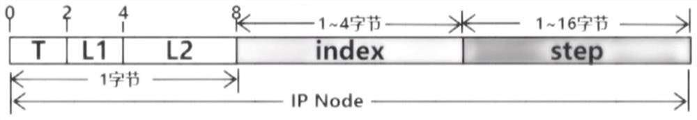 Encoding and decoding method and system for IP national mapping information