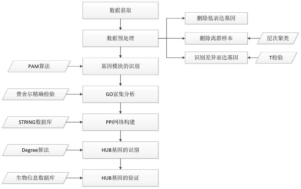 Gene expression data analysis method based on PAM clustering algorithm