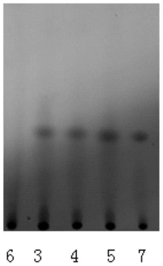 A detection method for Gastrodia Xingnao Capsules