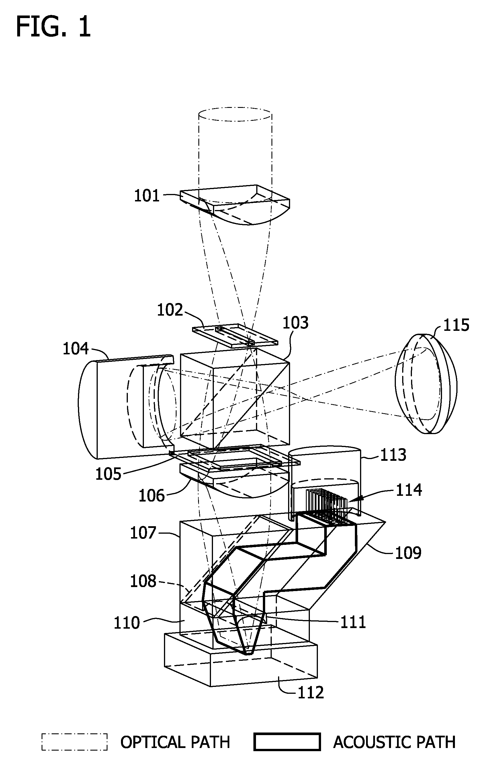 Section-illumination photoacoustic microscopy with ultrasonic array detection