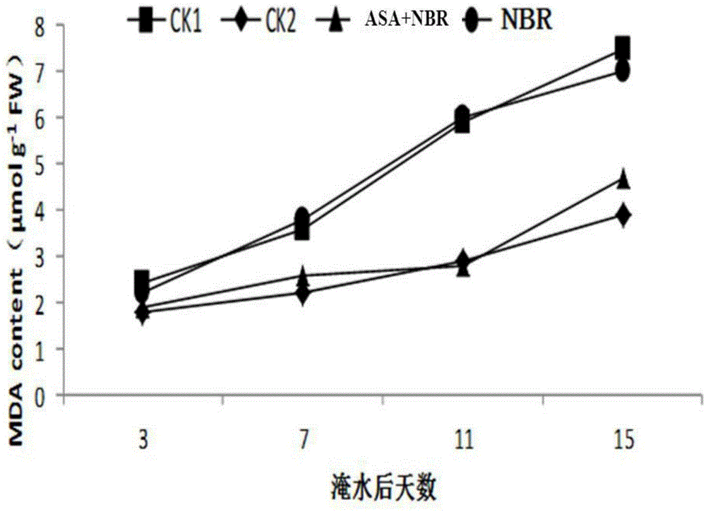 A biochemical agent for physiological recovery of maize after waterlogging