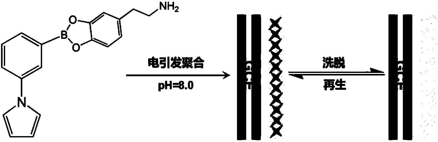 Double recognition dopamine imprinting electrochemical sensor and preparation method and application thereof