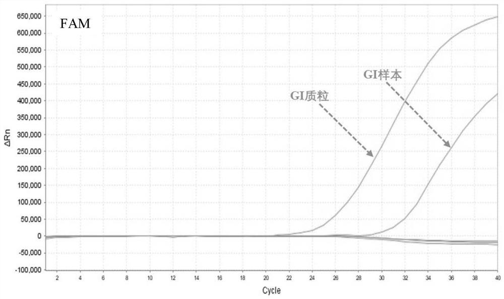 Norovirus gⅰ, gⅱ and gⅳ type nucleic acid typing detection kit and detection method