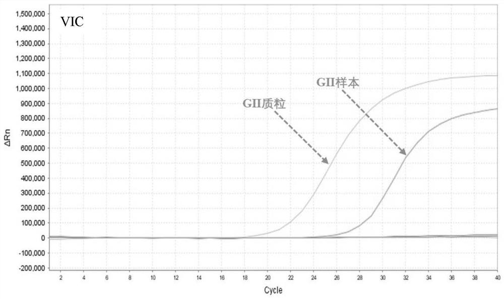 Norovirus gⅰ, gⅱ and gⅳ type nucleic acid typing detection kit and detection method