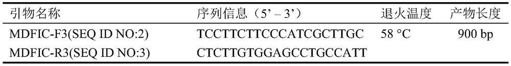 A SNP Molecular Marker Related to Chicken Carcass Traits and Its Application