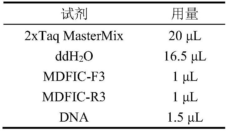 A SNP Molecular Marker Related to Chicken Carcass Traits and Its Application