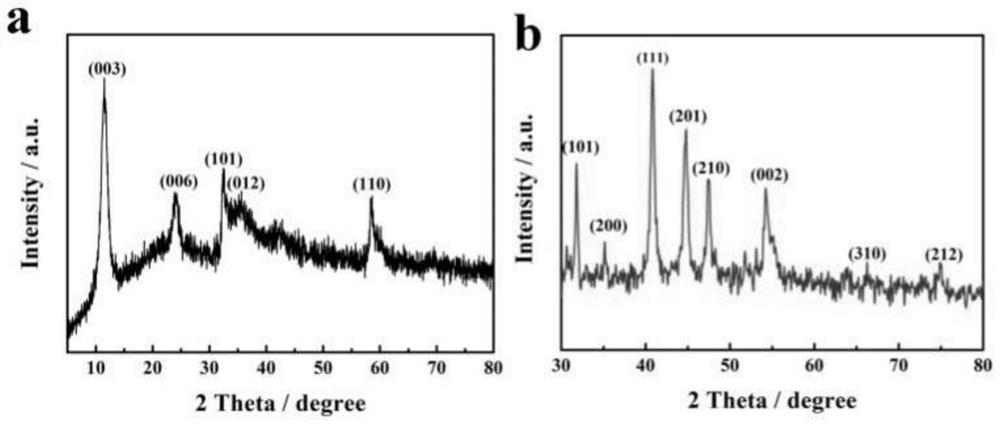 Nickel phosphide/carbon/nickel phosphide composite material as well as preparation method and application thereof