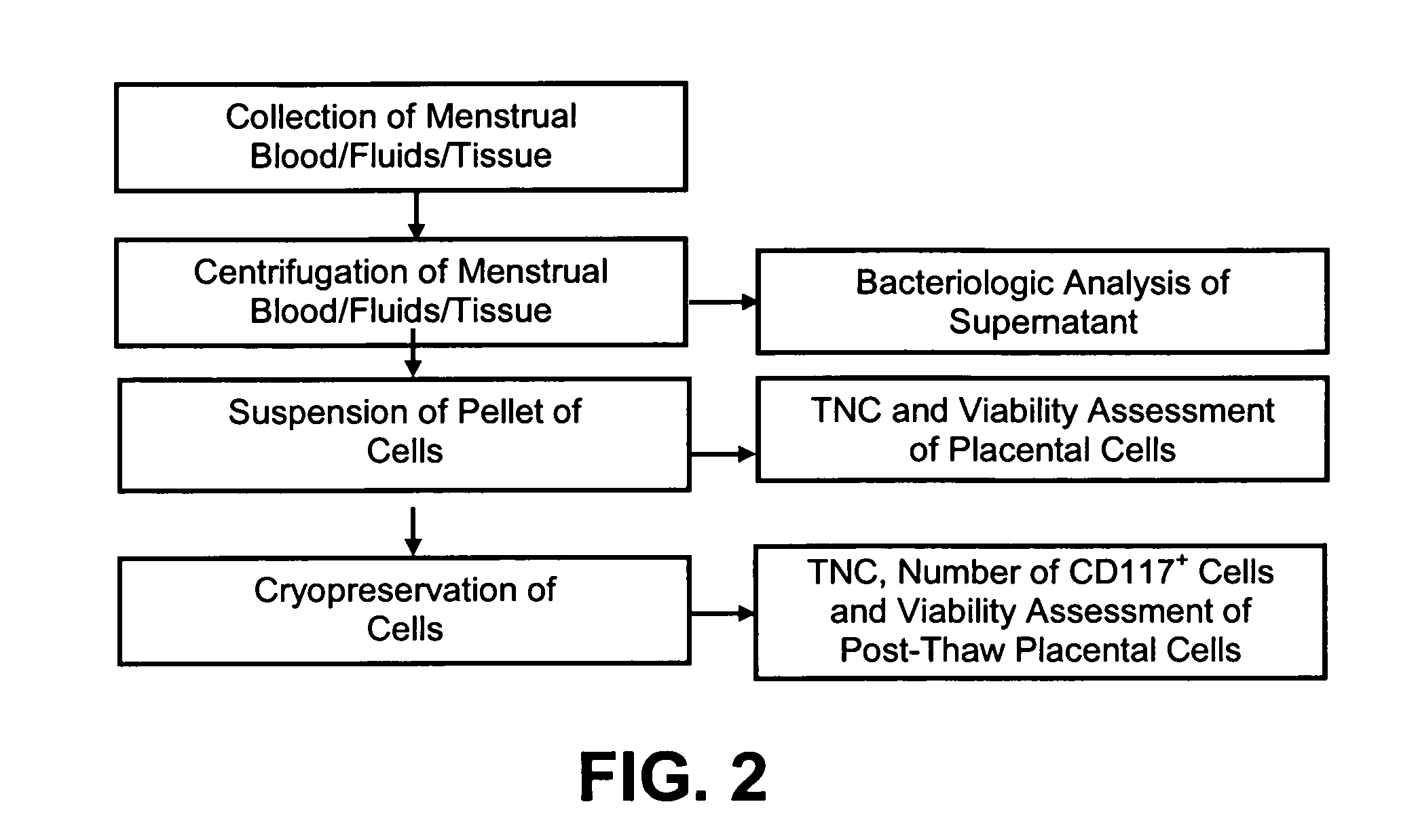 Infectious diseases testing of menstrual fluid, endometrial/menstrual cells, amniotic fluid, umbilical cord blood or other samples