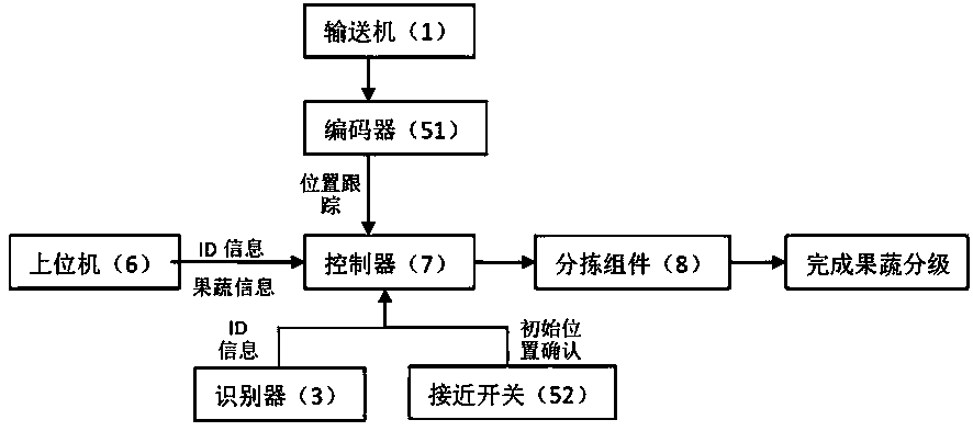 Free conveying type fruit and vegetable sorting device and sorting method thereof