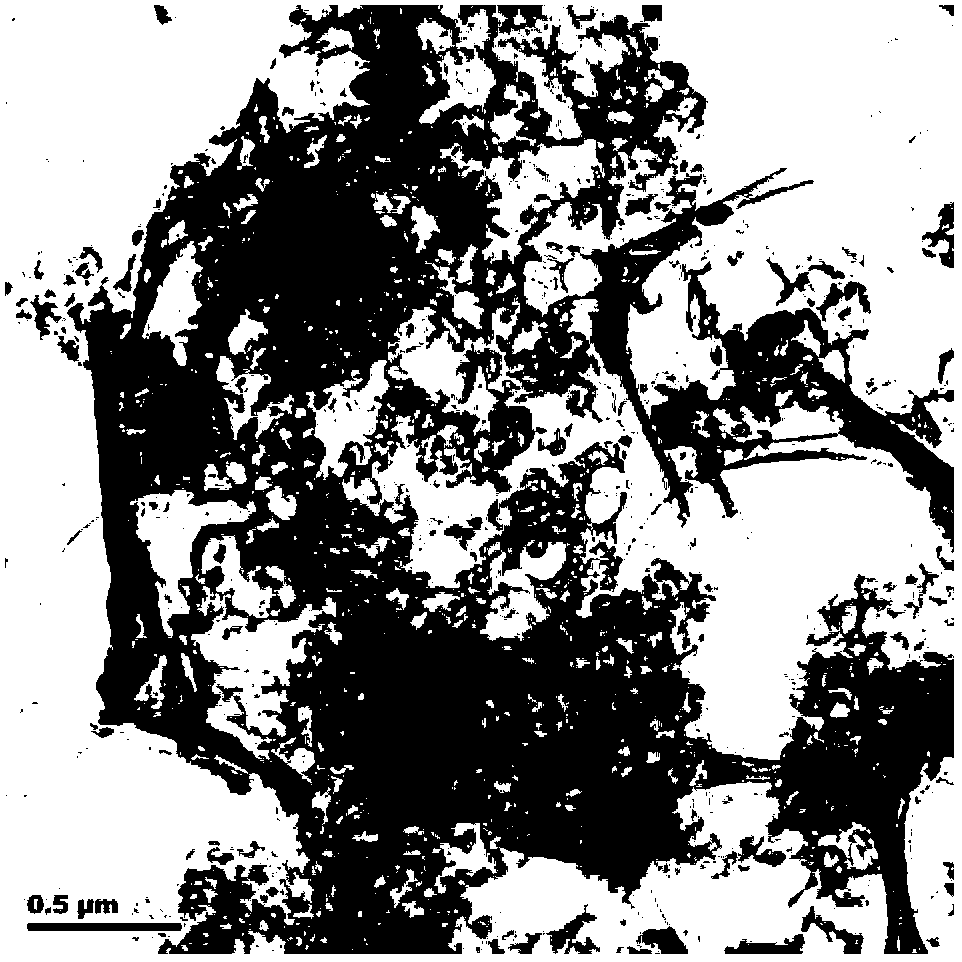 Method for preparing oxidized graphene/conductive polypyrrole nano wire composite material