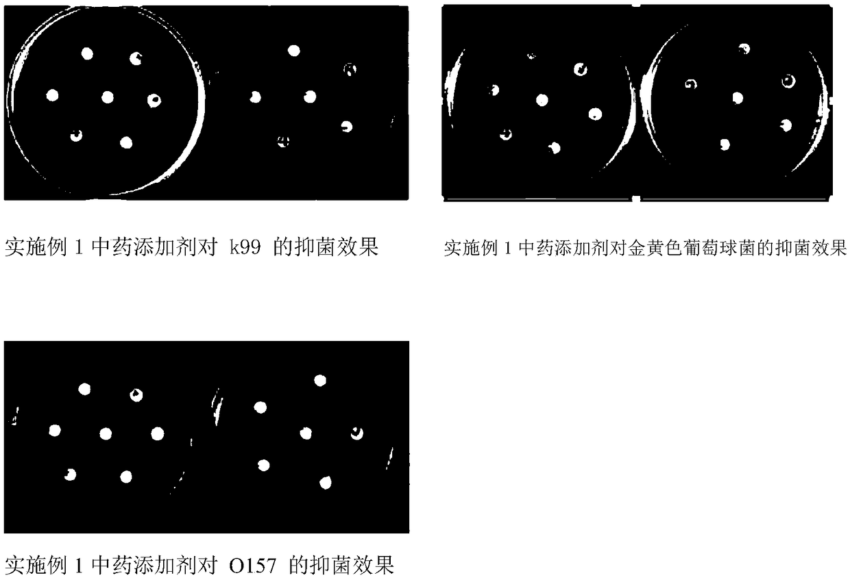 Traditional Chinese medicine feed additive capable of preventing dysentery of livestock and poultry