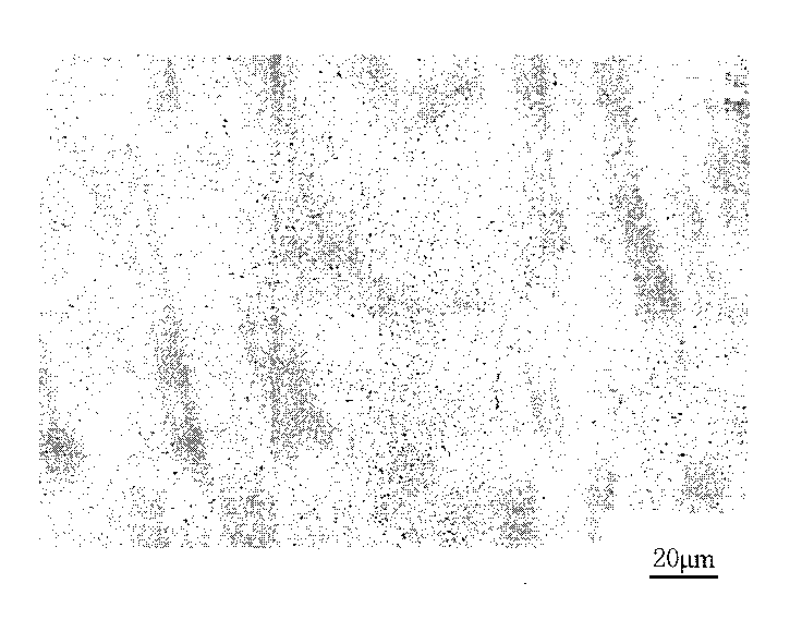 Method for preparing glass microfibre reinforcement nano-hydroxyapatite biological composite coating