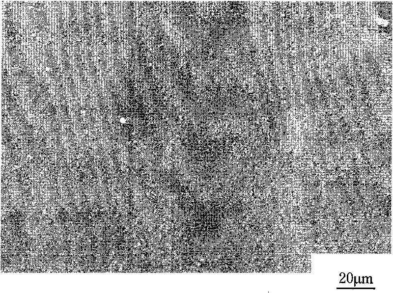 Method for preparing glass microfibre reinforcement nano-hydroxyapatite biological composite coating