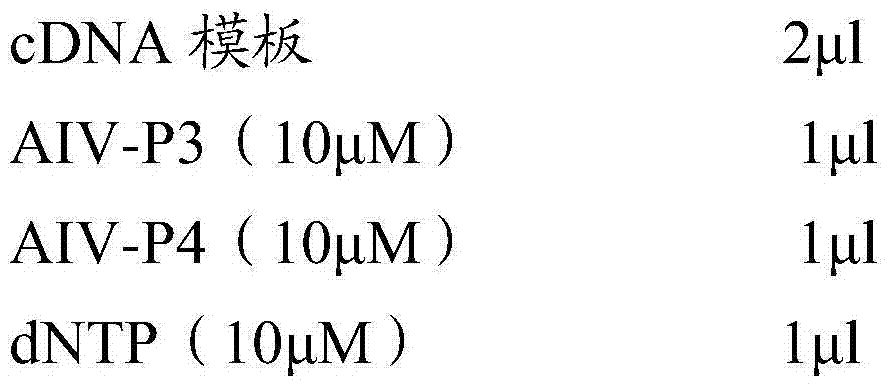 Vaccine composition, preparation method and application thereof