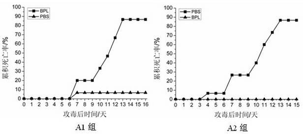 Preparation method of inactivated vaccine for iridovirus of grouper