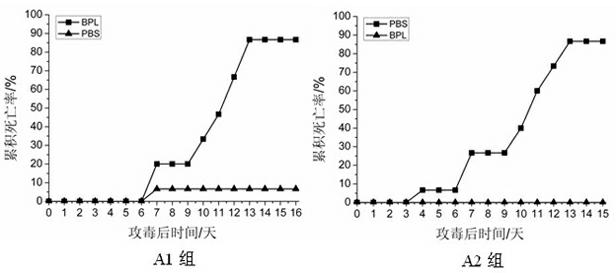 Preparation method of inactivated vaccine for iridovirus of grouper