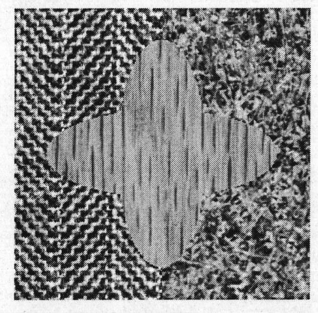 Method for segmenting multi-dimensional texture image on basis of fuzzy C-means clustering and spatial information