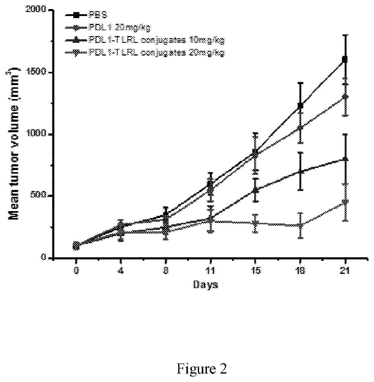 Anti PD-L1 conjugates for treating tumors