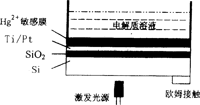 Film optical addressing electric potential sensor used for detecting Hg2+ and preparation method thereof