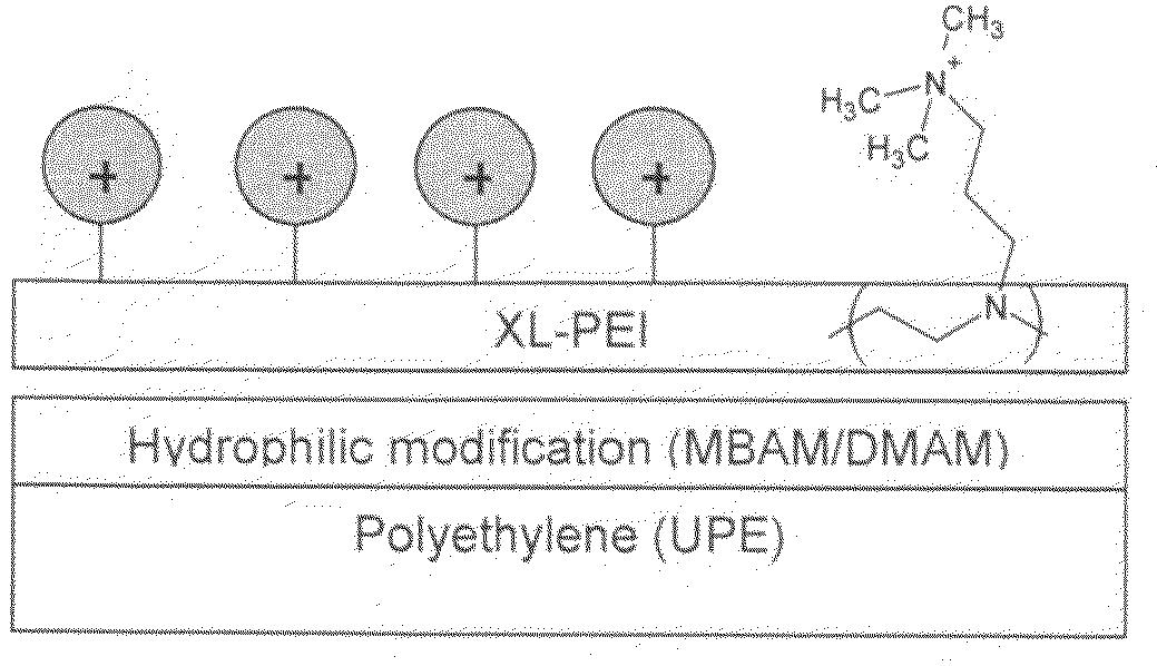 Media for membrane ion exchange chromatography