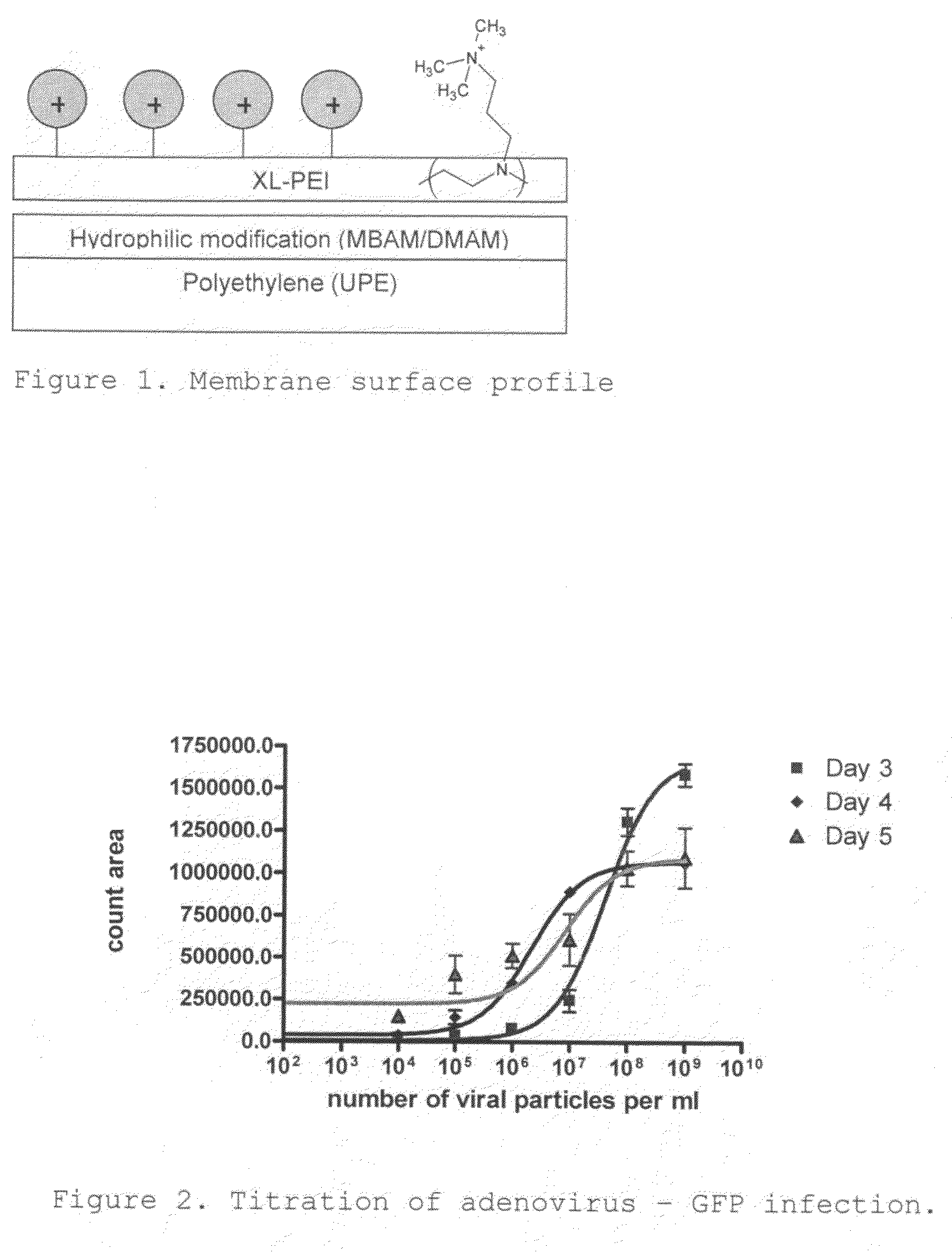 Media for membrane ion exchange chromatography